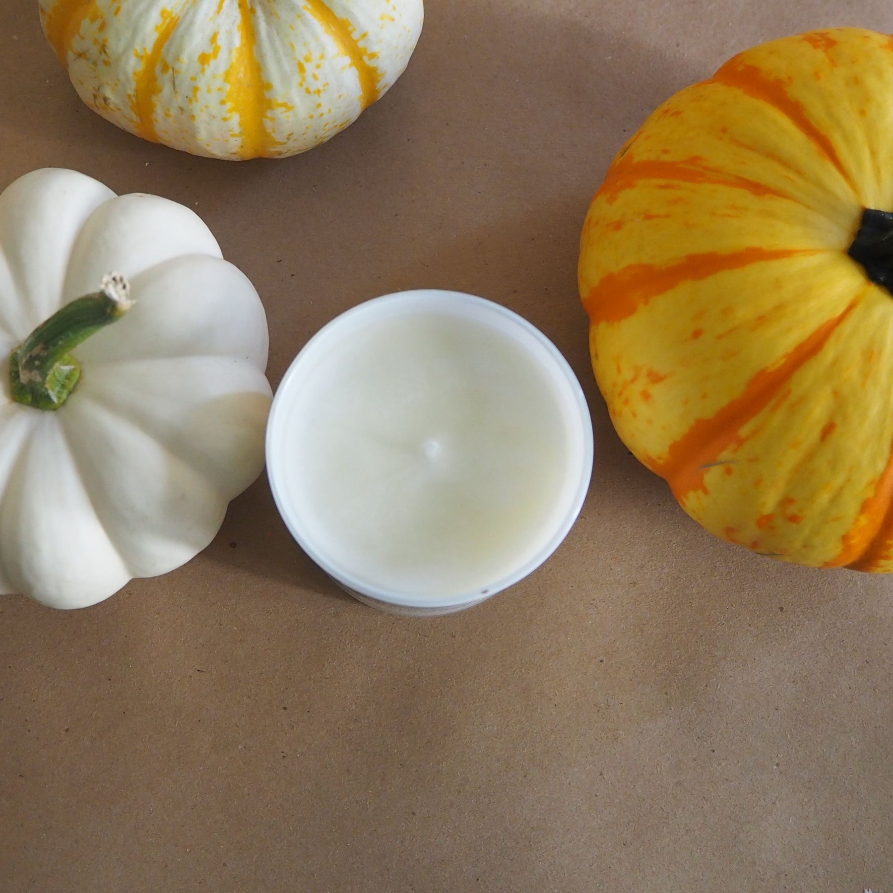 Vanilla Pumpkin Marshmallow Fragrance Oil, 10 ml Premium, Long Lasting –  Eclectic Lady